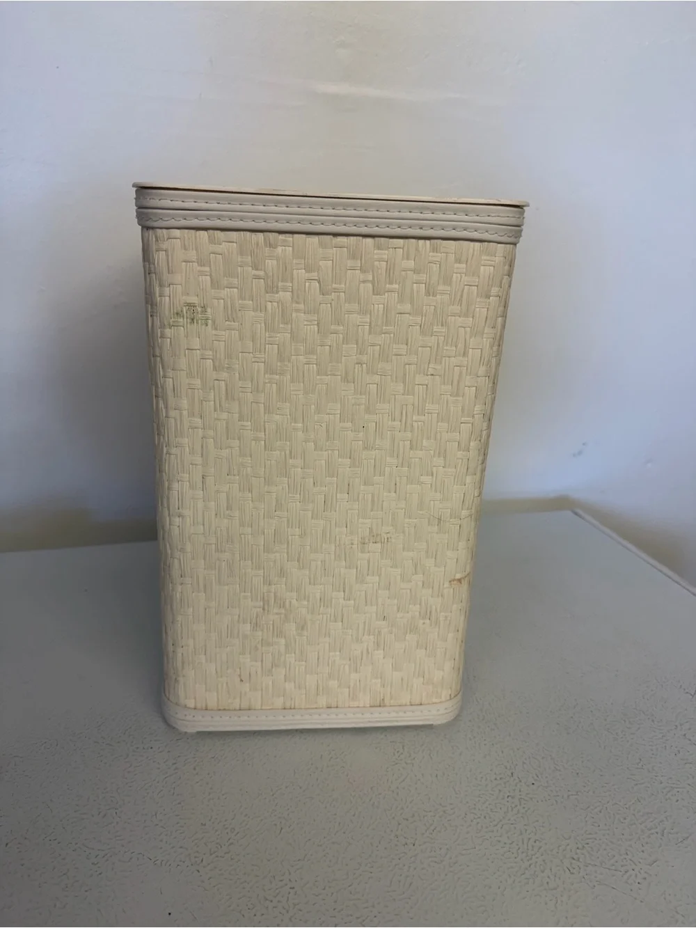 VTG Neutral Cream Wicker Trash Can/Wastebasket - Home Accents